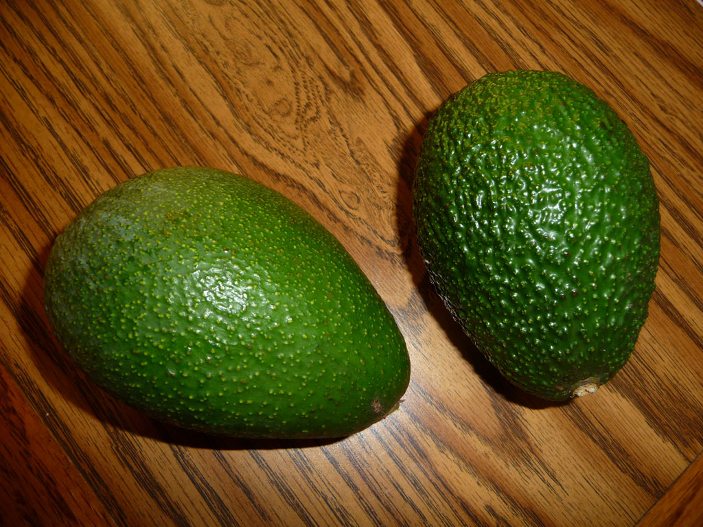 Fuerte and Hass Avocados
