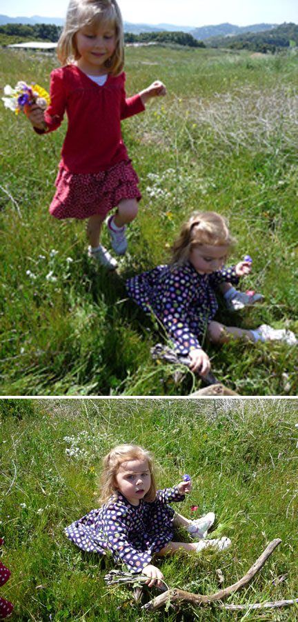 Bug and Squirrel picking flowers...and sticks