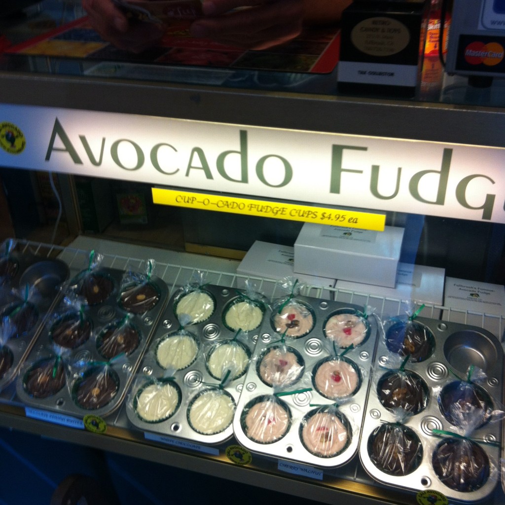 Selection of avocado fudge
