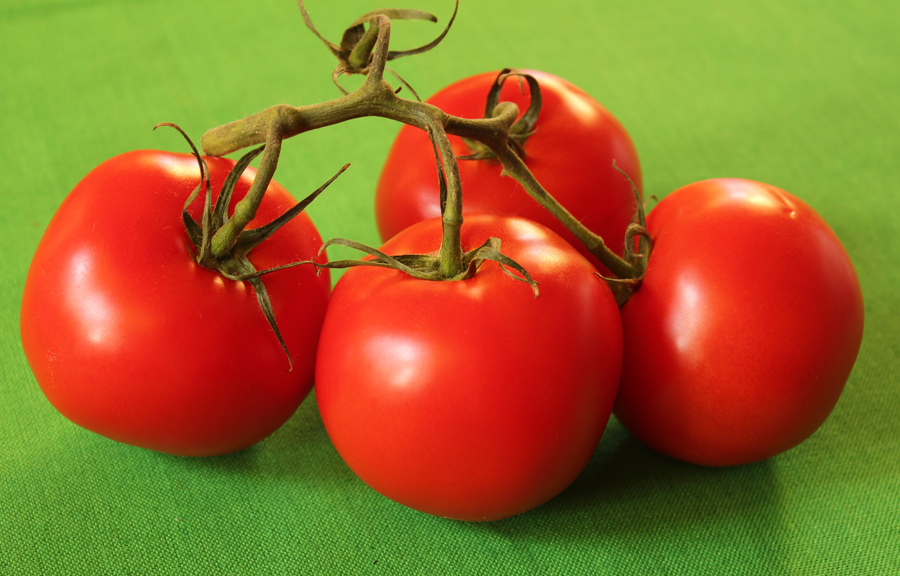 red tomatoes on green
