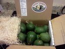 gift box of avocados