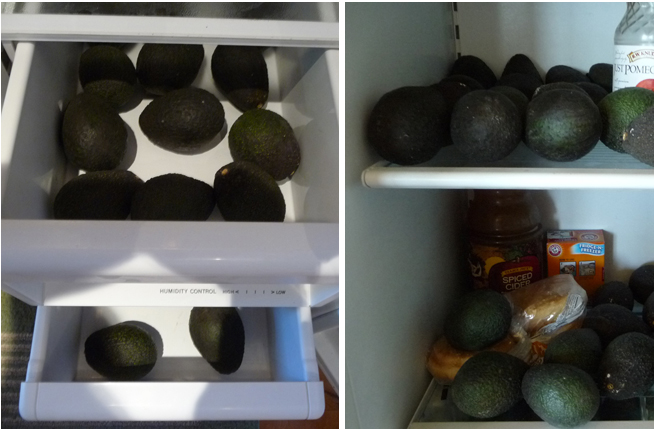 avocados stored in refrigerator