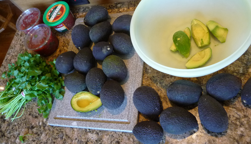 ready to make guacamole