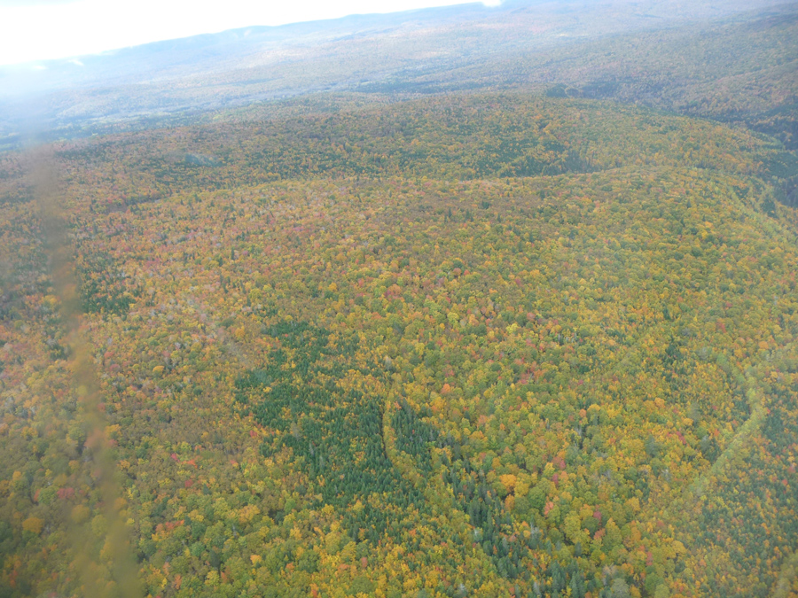 Gaspe Quebec autumn