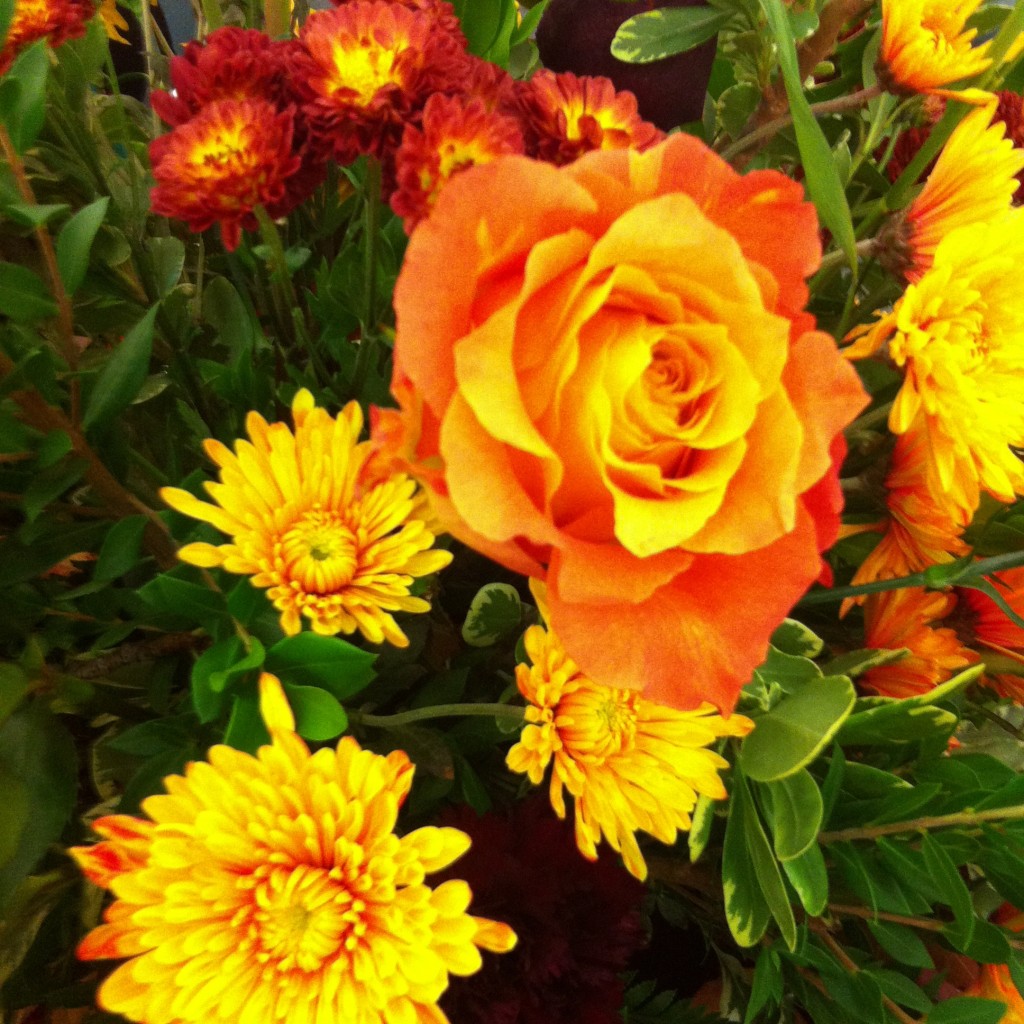 Thanksgiving flowers