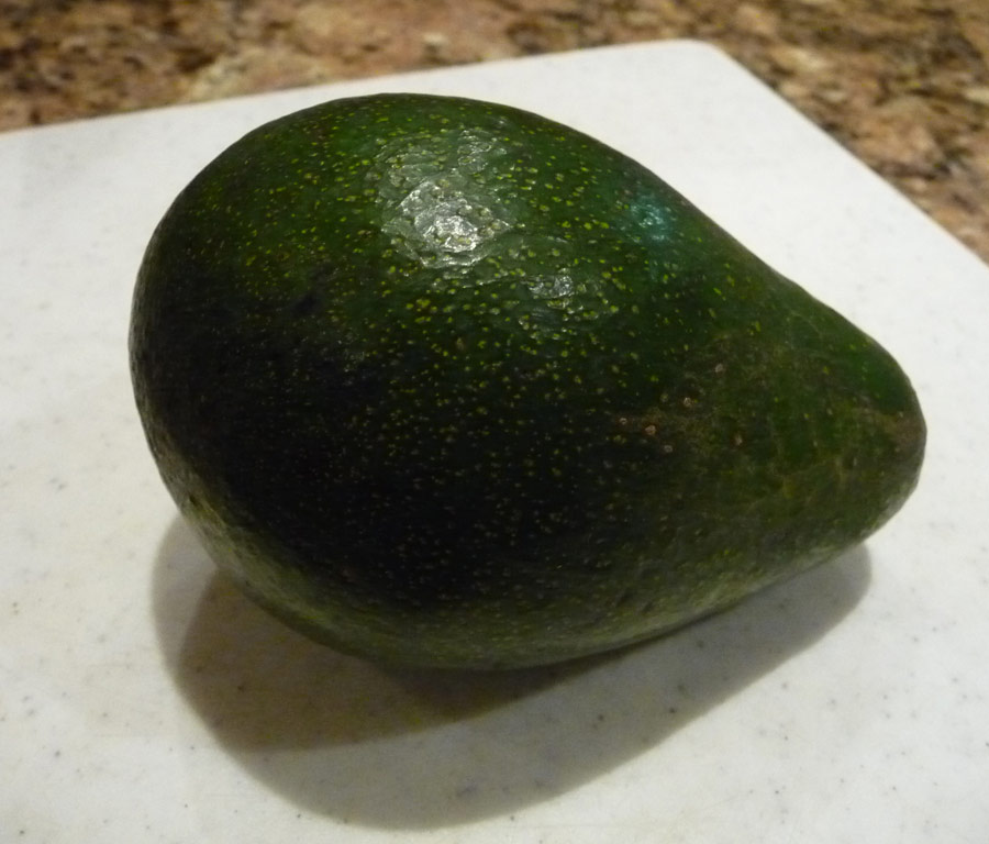first Fuerte avocado of the season