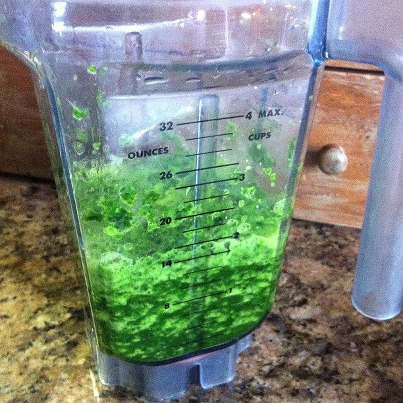 kale, spinach, celery in the Vitamix