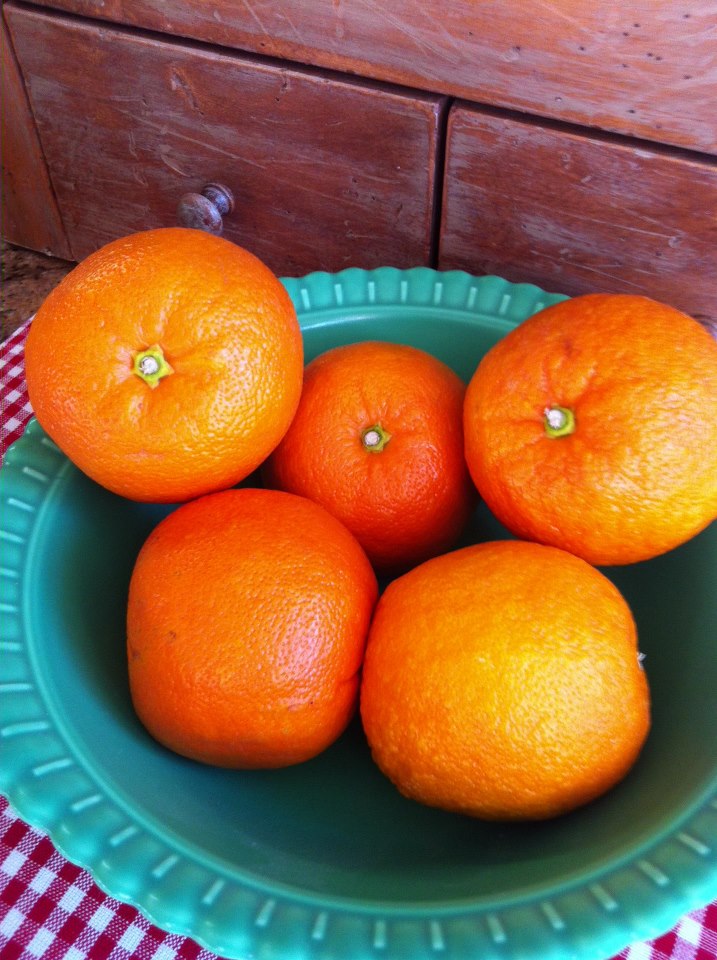 SevilleOranges from Melissa's Produce