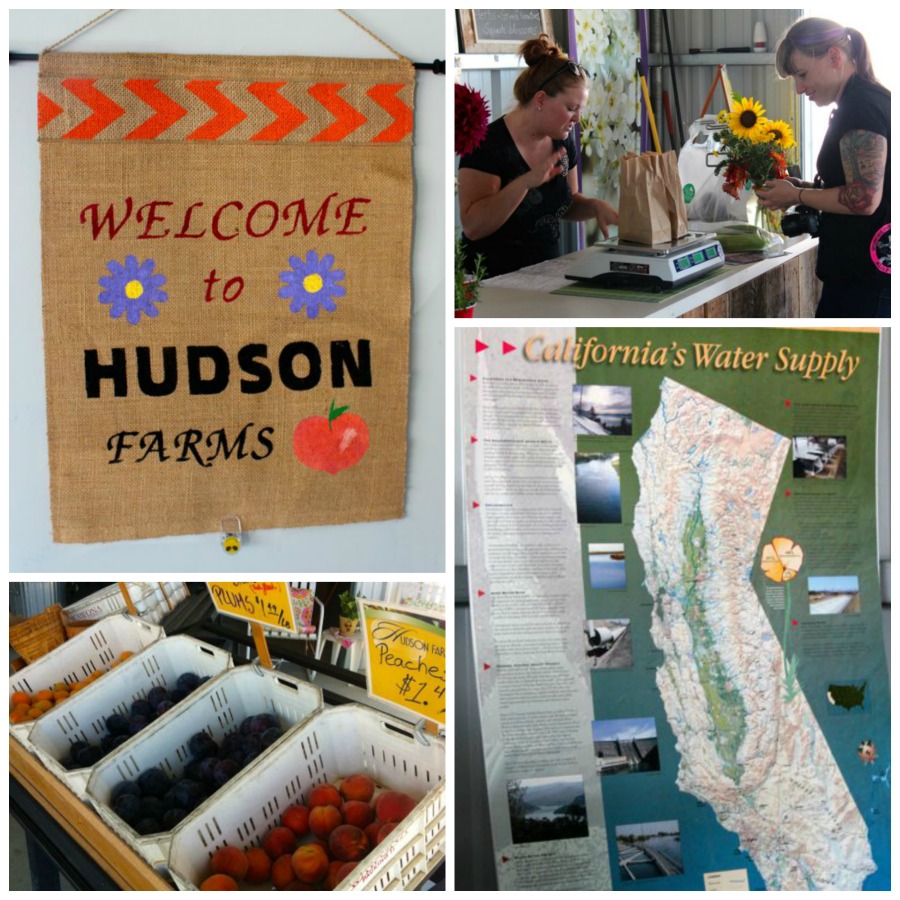 Hudson-Farms-Collage1