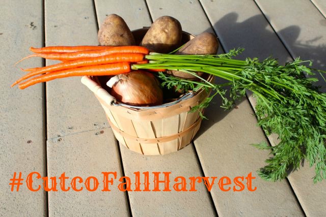 harvest basket #cutcofallharvest