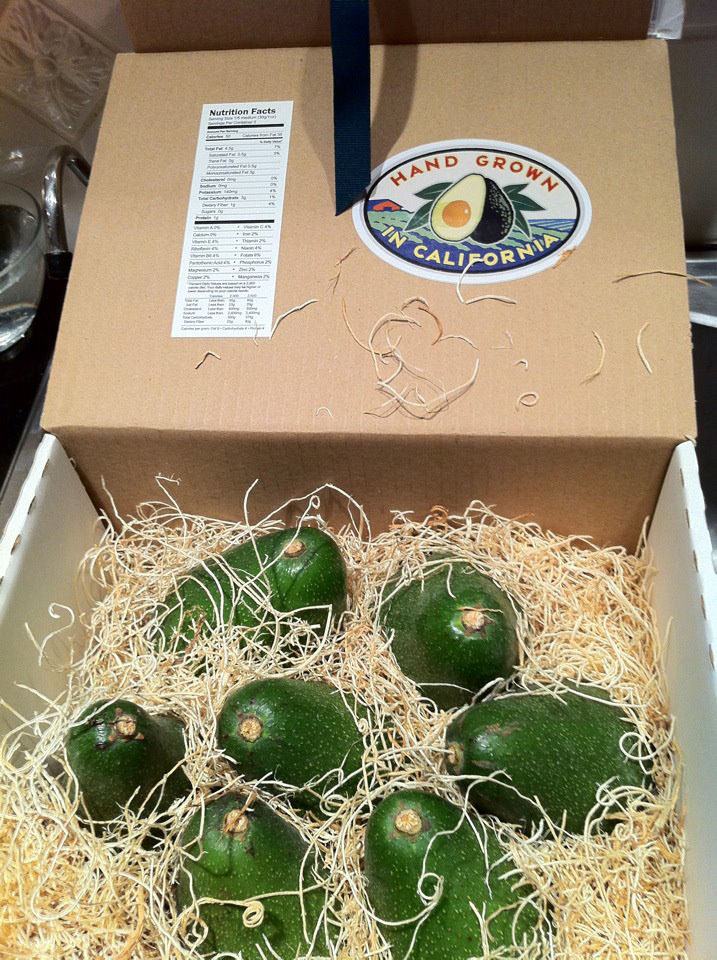 box of Bacon avocados