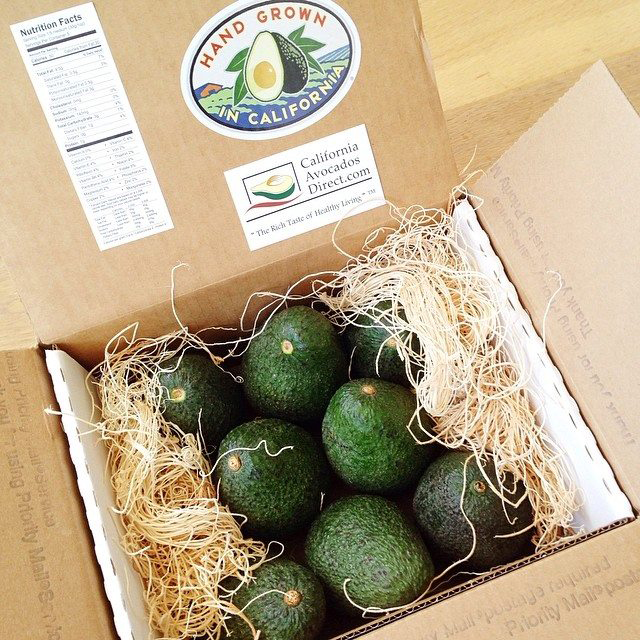 farmer dozen avocados