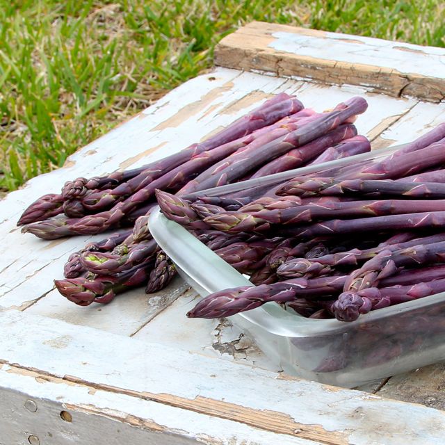 purple asparagus