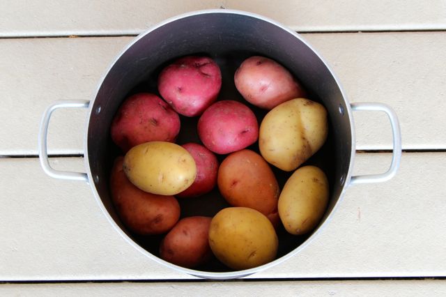 boiling potatoes