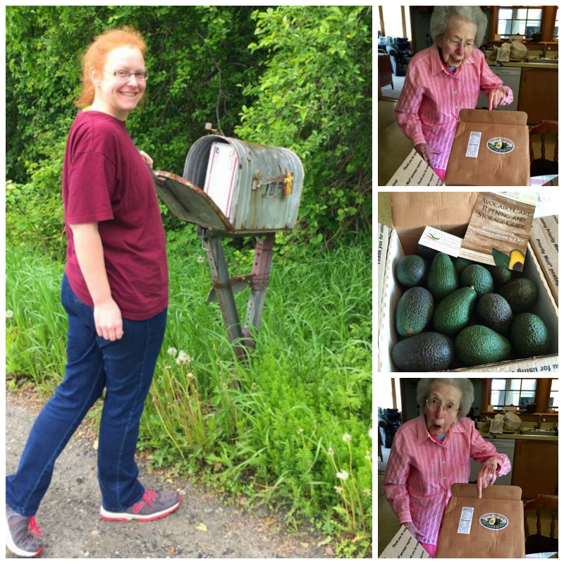 Avocados In Vermont