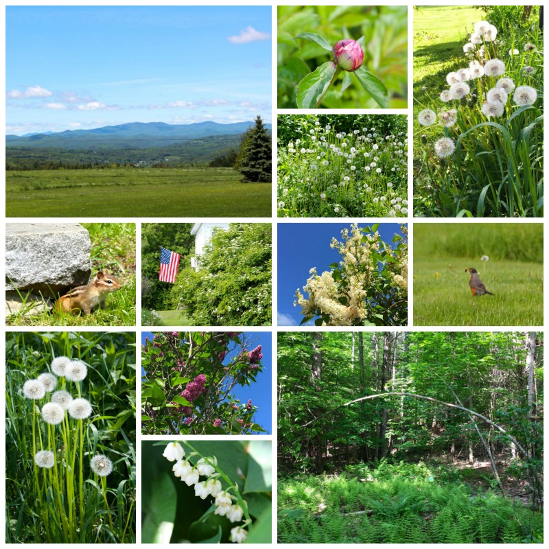 Vermont-June