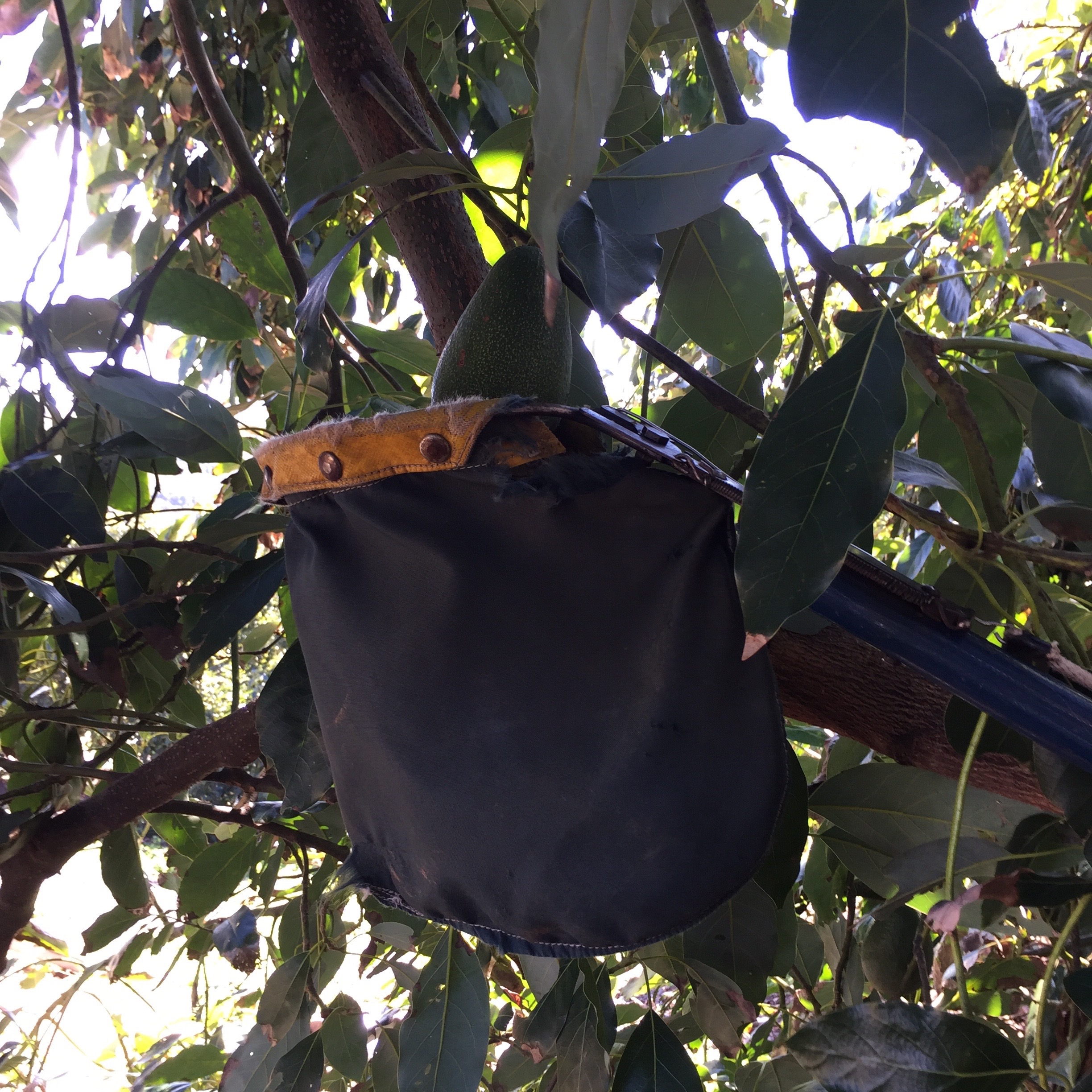 bag on the picking pole