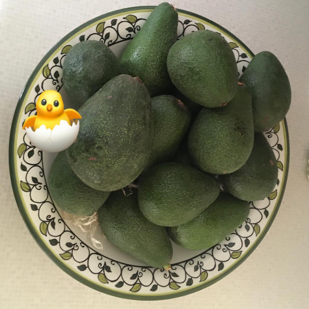bowl of California avocados