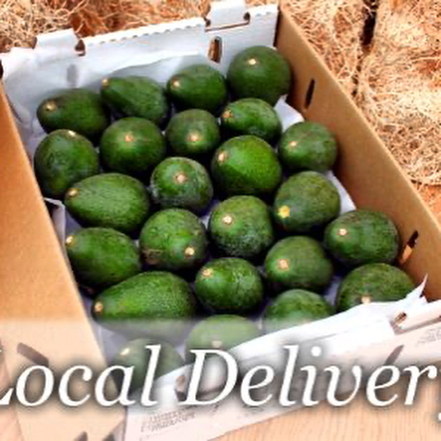 Local Deliver Avocados