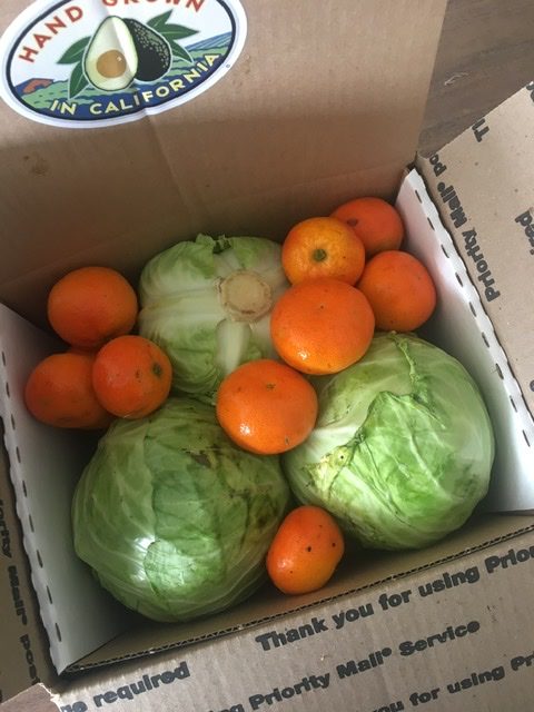 Special Box of Cabbage and Tangerines