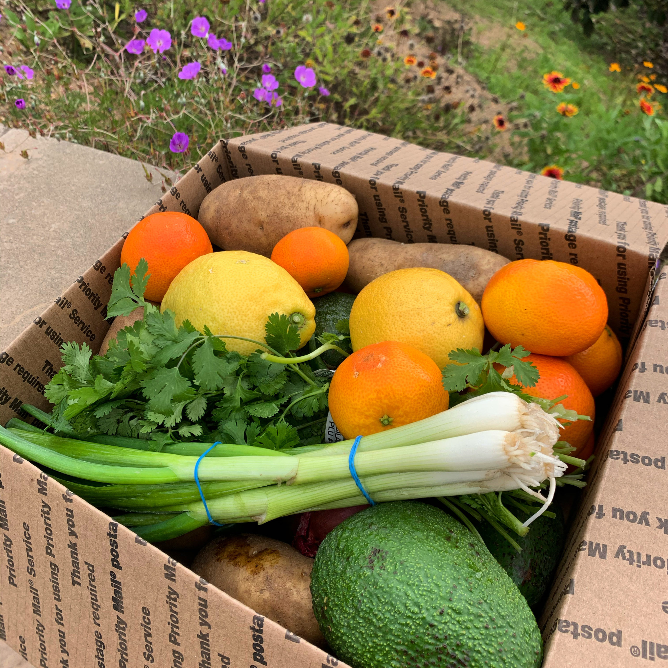 Variety box of produce