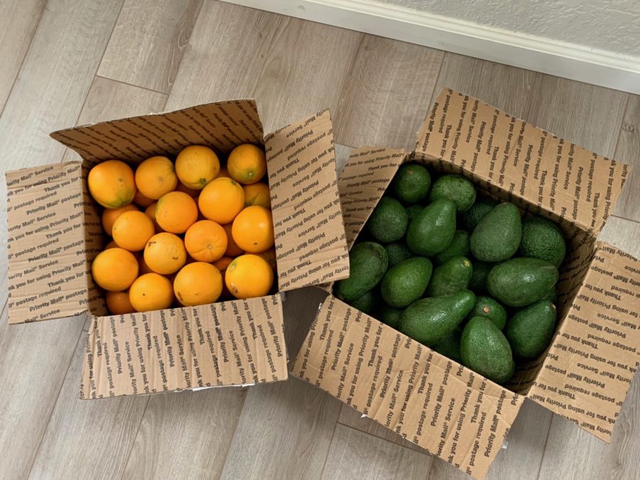 Tangerines and avocados